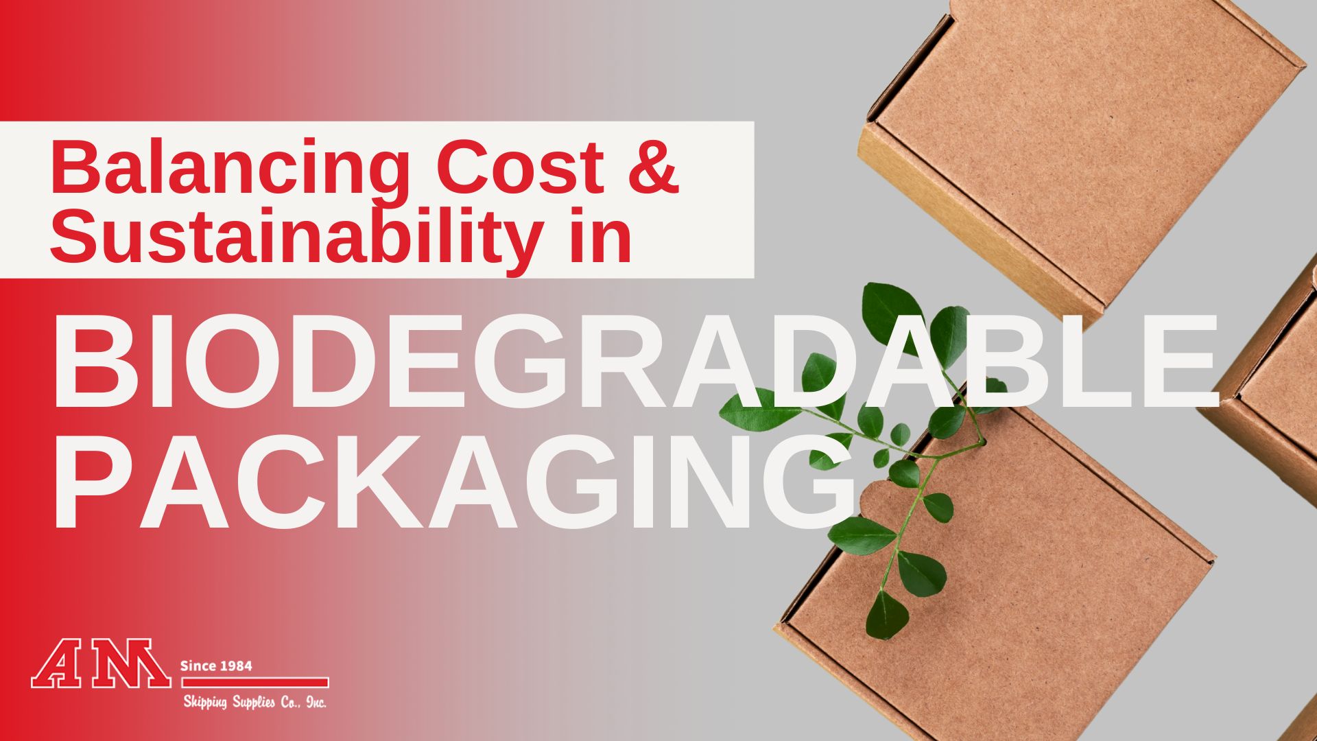 Balancing Cost and Sustainability in Biodegradable Packaging 